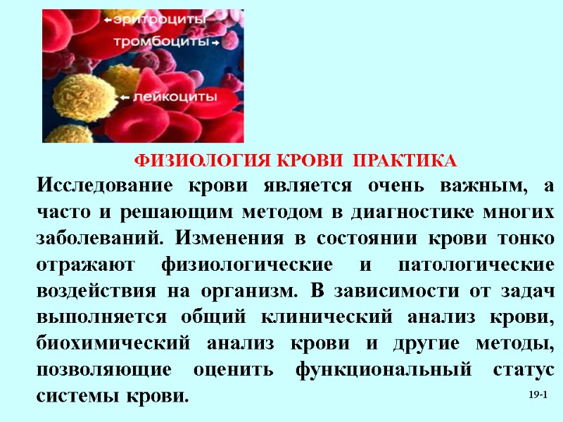 19-1 ФИЗИОЛОГИЯ КРОВИ  ПРАКТИКА Исследование крови является очень важным, а часто и решающим